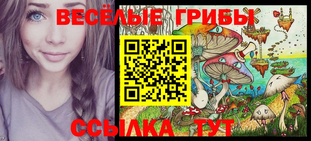 Псилоцибиновые грибы MAGIC MUSHROOMS Великие Луки